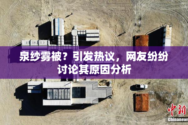 泉纱雾被？引发热议，网友纷纷讨论其原因分析
