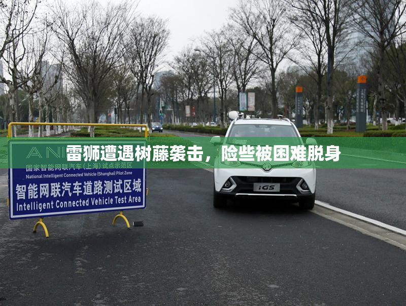 雷狮遭遇树藤袭击，险些被困难脱身