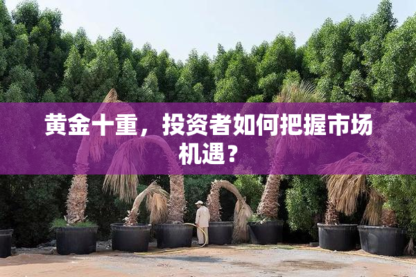 黄金十重，投资者如何把握市场机遇？