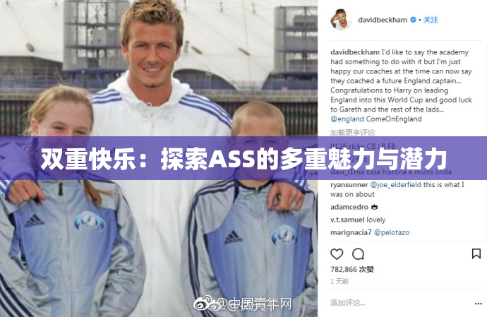 双重快乐：探索ASS的多重魅力与潜力