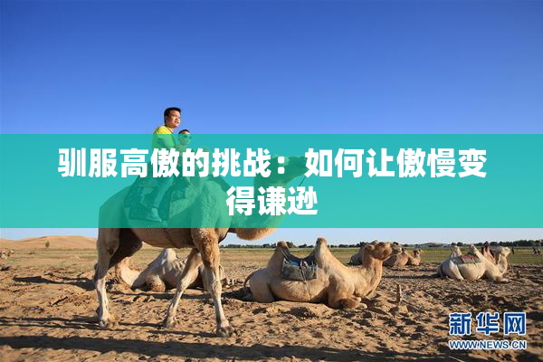 驯服高傲的挑战：如何让傲慢变得谦逊