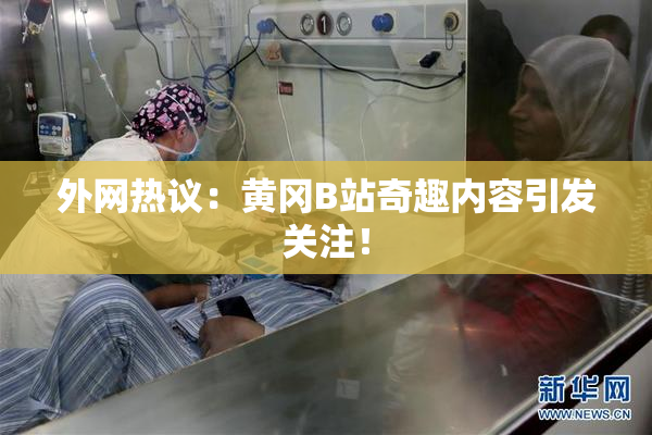 外网热议：黄冈B站奇趣内容引发关注！