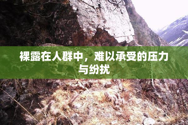 裸露在人群中，难以承受的压力与纷扰