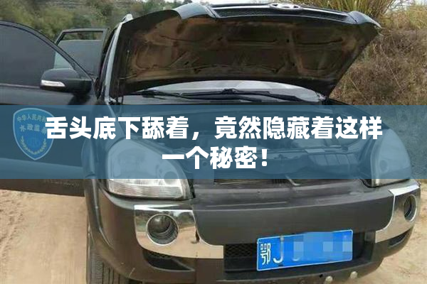 舌头底下舔着，竟然隐藏着这样一个秘密！