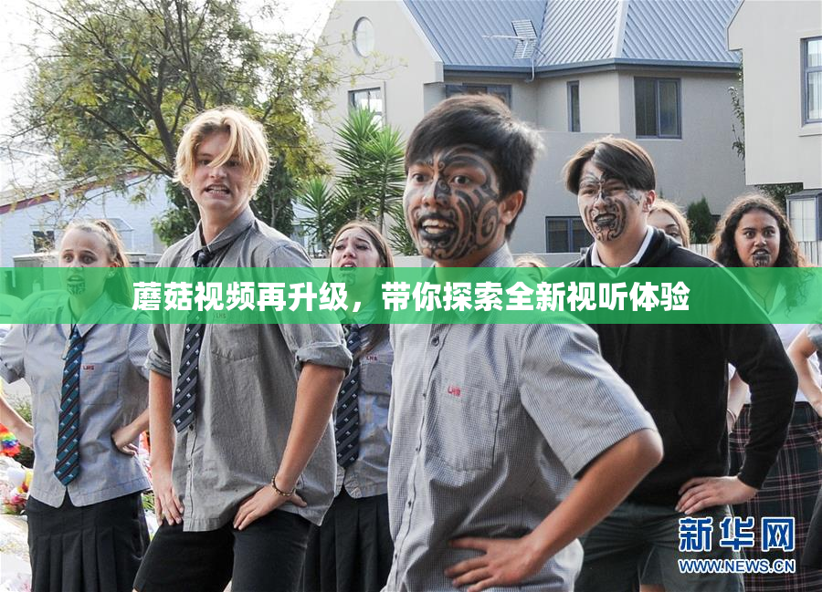 蘑菇视频再升级，带你探索全新视听体验