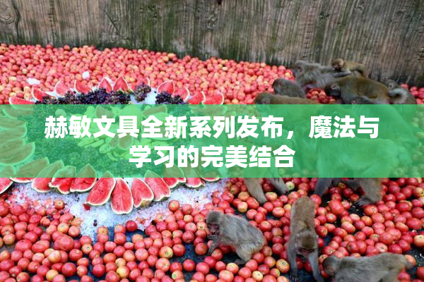 赫敏文具全新系列发布，魔法与学习的完美结合