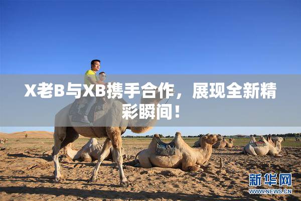 X老B与XB携手合作，展现全新精彩瞬间！