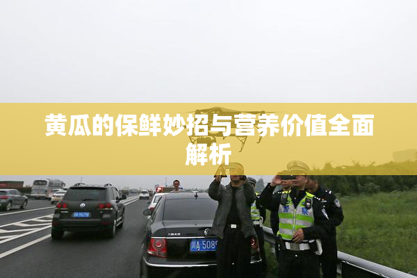 黄瓜的保鲜妙招与营养价值全面解析