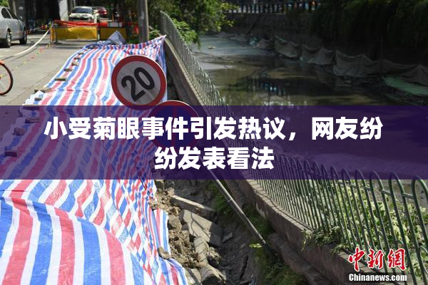 小受菊眼事件引发热议，网友纷纷发表看法