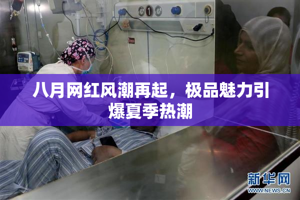 八月网红风潮再起，极品魅力引爆夏季热潮