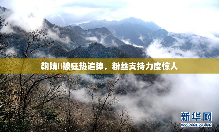 鞠婧祎被狂热追捧，粉丝支持力度惊人