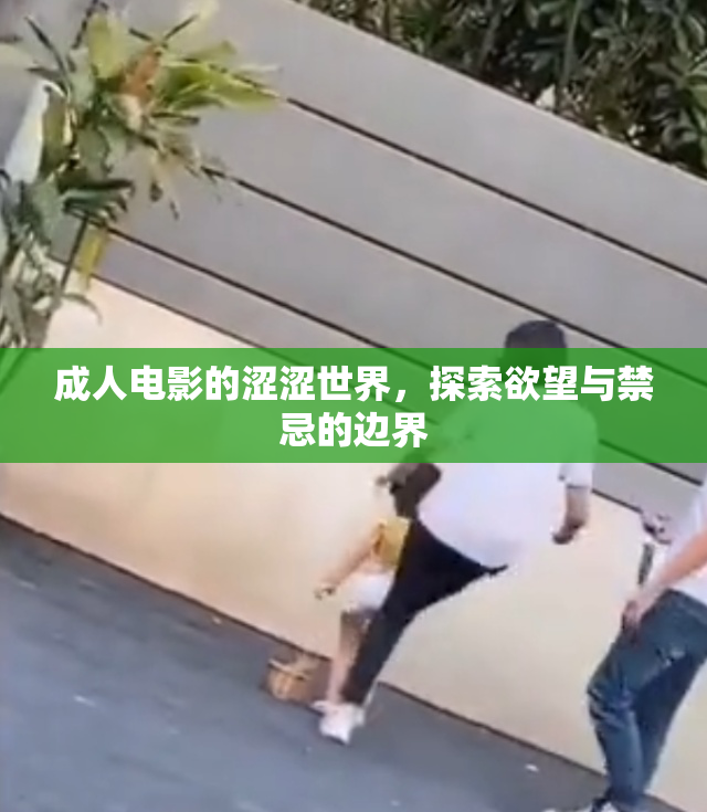 成人电影的涩涩世界，探索欲望与禁忌的边界