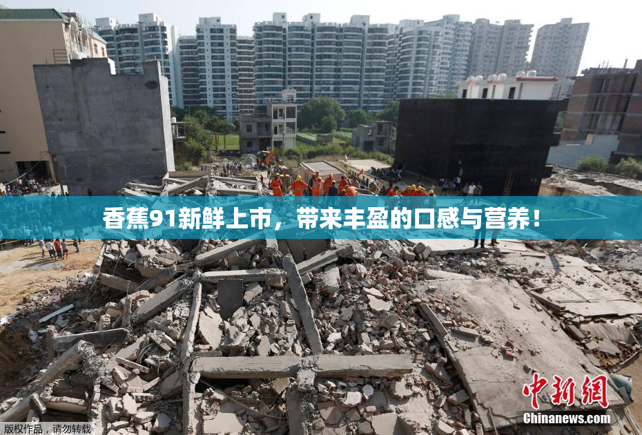 香蕉91新鲜上市，带来丰盈的口感与营养！