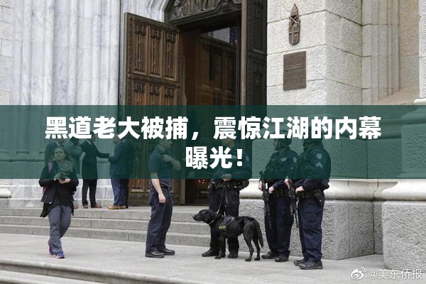 黑道老大被捕，震惊江湖的内幕曝光！