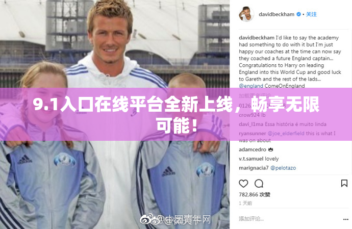 9.1入口在线平台全新上线，畅享无限可能！