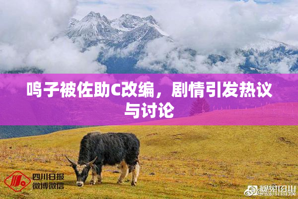 鸣子被佐助C改编，剧情引发热议与讨论