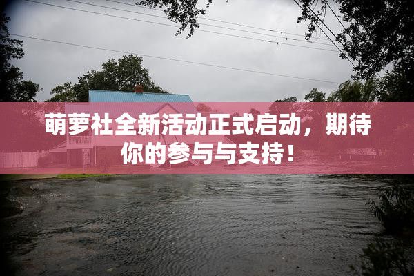 萌萝社全新活动正式启动，期待你的参与与支持！