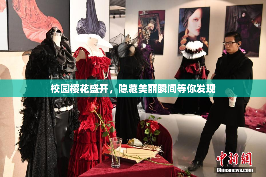 校园樱花盛开，隐藏美丽瞬间等你发现