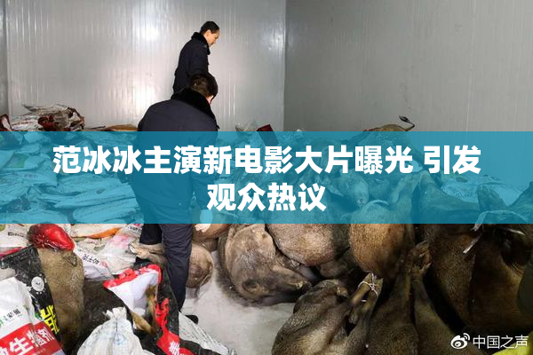 范冰冰主演新电影大片曝光 引发观众热议
