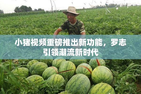 小猪视频重磅推出新功能，罗志引领潮流新时代