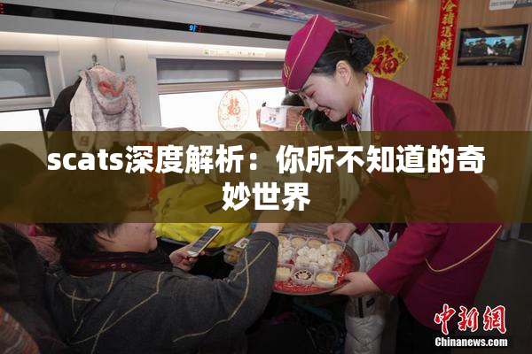scats深度解析：你所不知道的奇妙世界