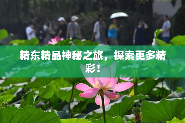 精东精品神秘之旅，探索更多精彩！