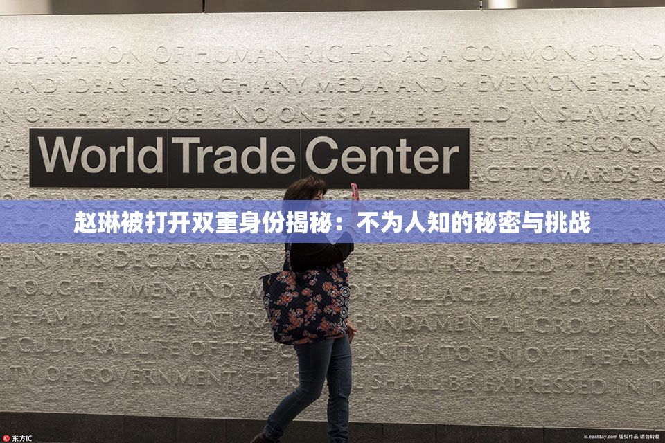 赵琳被打开双重身份揭秘：不为人知的秘密与挑战