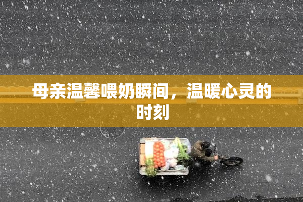 母亲温馨喂奶瞬间，温暖心灵的时刻