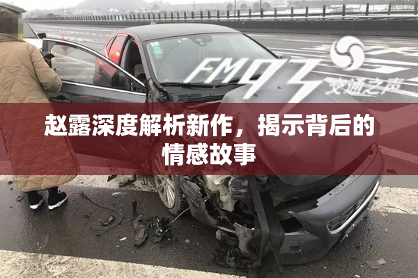 赵露深度解析新作，揭示背后的情感故事