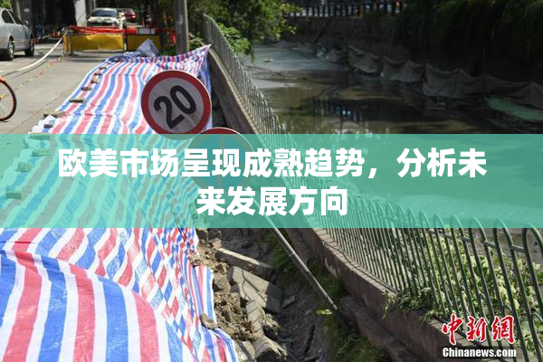 欧美市场呈现成熟趋势，分析未来发展方向