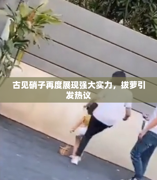 古见硝子再度展现强大实力，拔萝引发热议