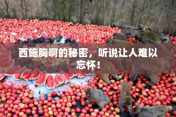 西施胸啊的秘密，听说让人难以忘怀！