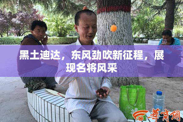黑土迪达，东风劲吹新征程，展现名将风采