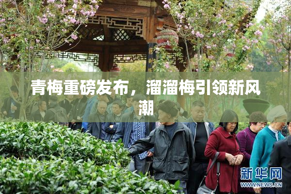 青梅重磅发布，溜溜梅引领新风潮