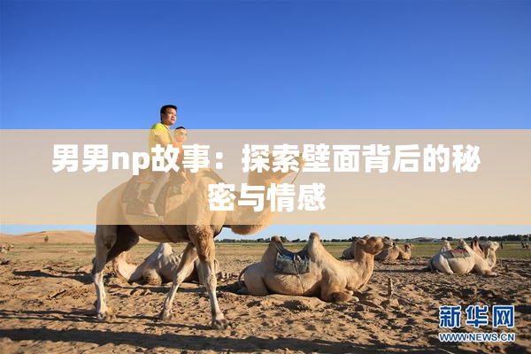 男男np故事：探索壁面背后的秘密与情感