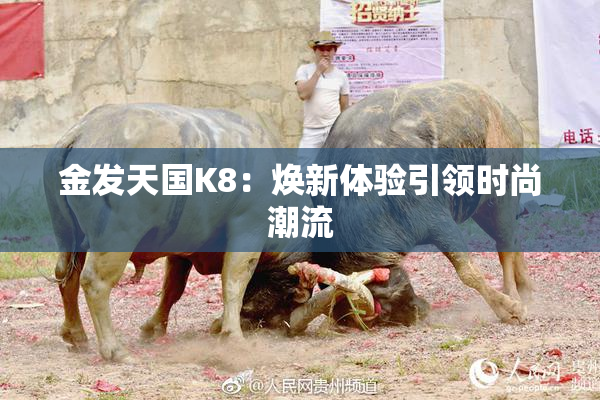 金发天国K8：焕新体验引领时尚潮流