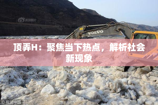 顶弄H：聚焦当下热点，解析社会新现象