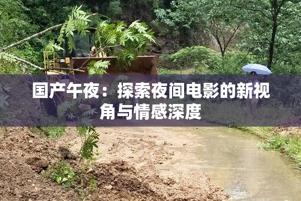 国产午夜：探索夜间电影的新视角与情感深度