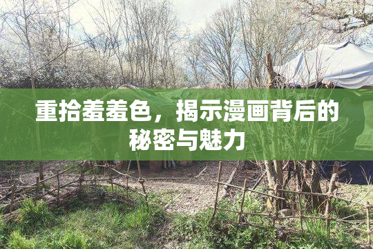 重拾羞羞色，揭示漫画背后的秘密与魅力
