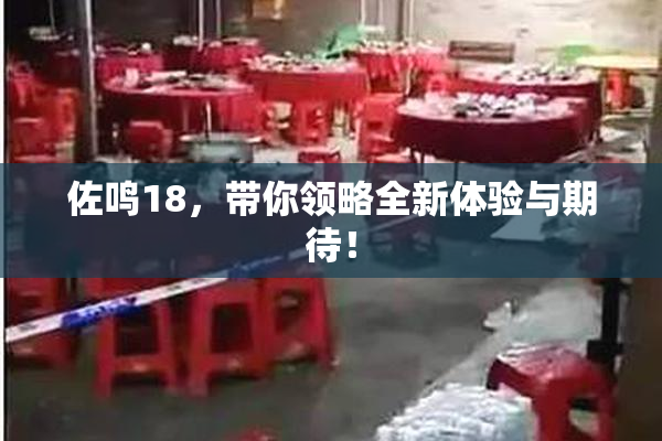 佐鸣18，带你领略全新体验与期待！