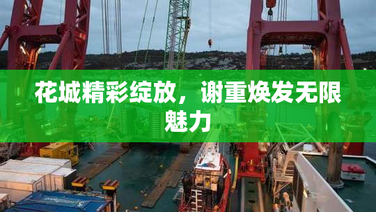 花城精彩绽放，谢重焕发无限魅力