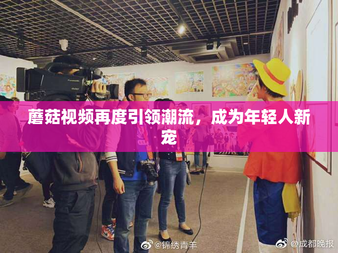 蘑菇视频再度引领潮流，成为年轻人新宠