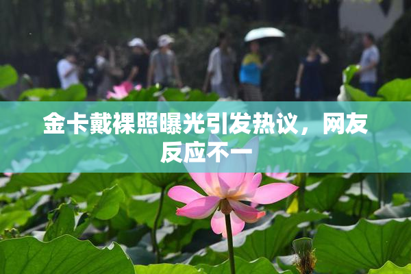 金卡戴裸照曝光引发热议，网友反应不一