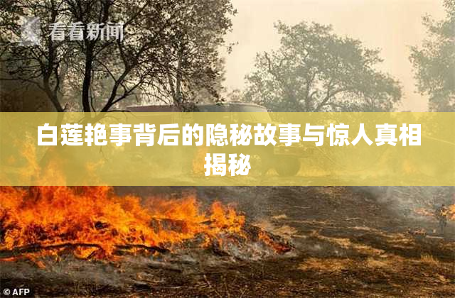 白莲艳事背后的隐秘故事与惊人真相揭秘