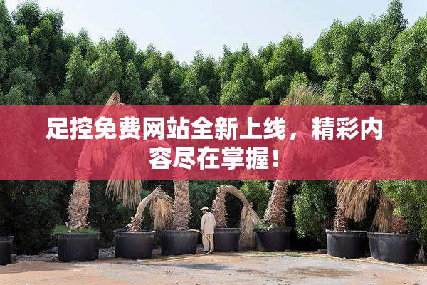 足控免费网站全新上线，精彩内容尽在掌握！