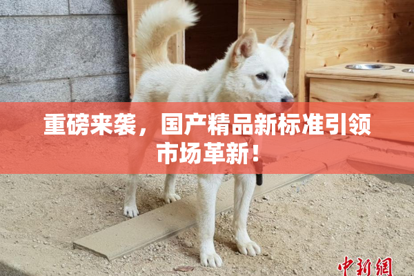 重磅来袭，国产精品新标准引领市场革新！
