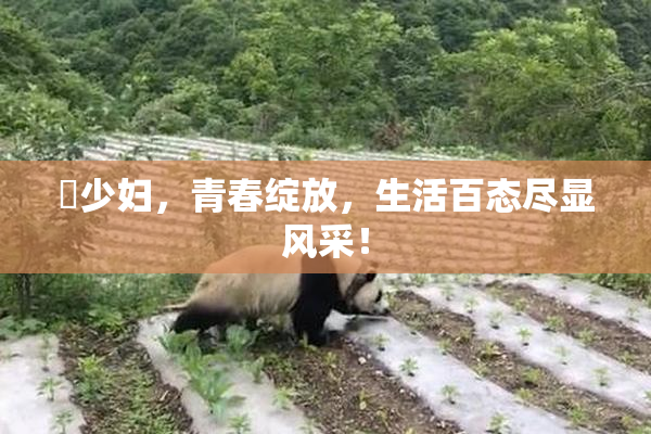 巜少妇，青春绽放，生活百态尽显风采！