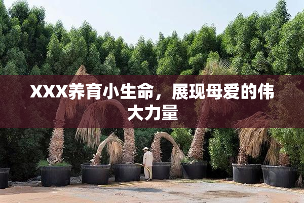 XXX养育小生命，展现母爱的伟大力量