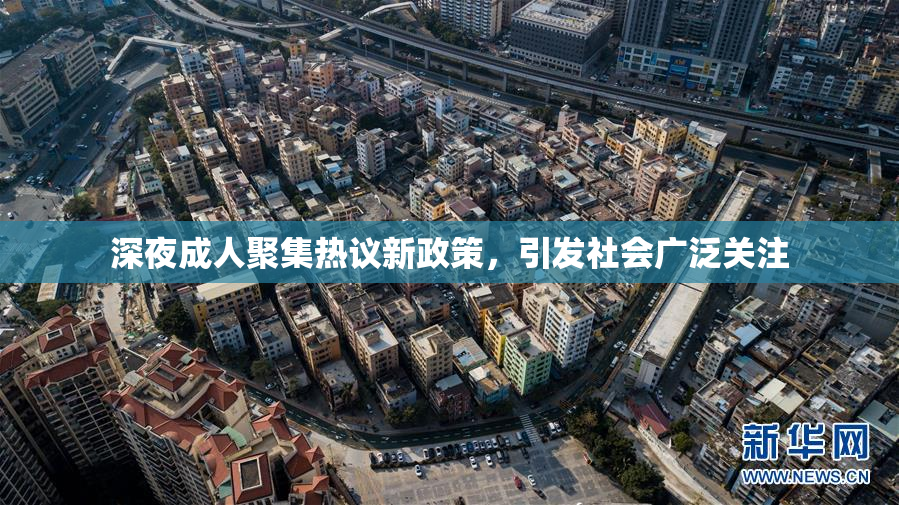 深夜成人聚集热议新政策，引发社会广泛关注