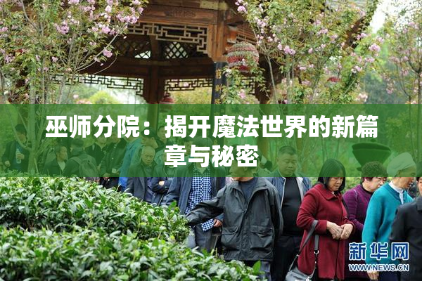 巫师分院：揭开魔法世界的新篇章与秘密